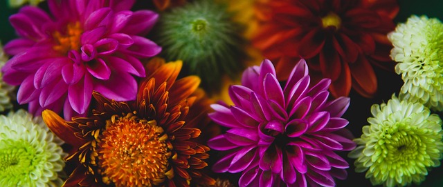 诺丁汉森林3-0马尔默，耶茨、卡利穆恩多、米伦科维奇建功