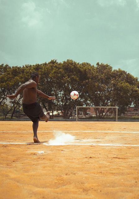 篮球篮网球队官方发布赛季目标