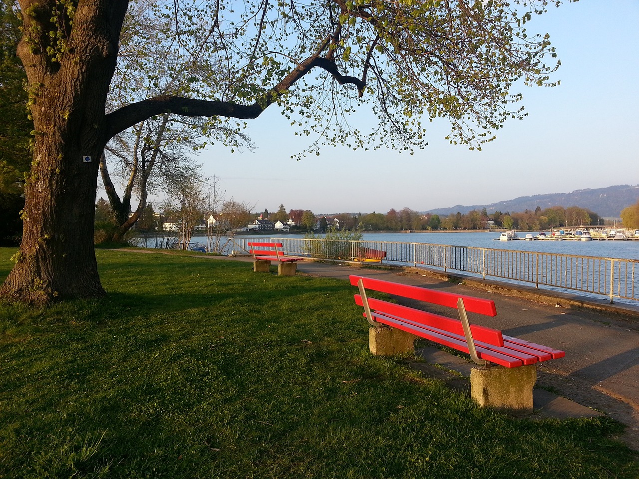 希克：我们拼到了最后一秒；球队进攻非常高效、防守也很紧密