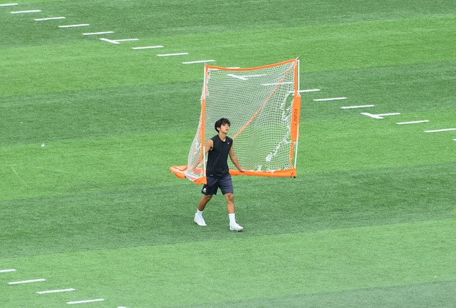 从表面上看