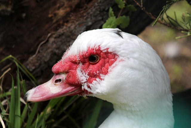 除了满分球 除了满分球