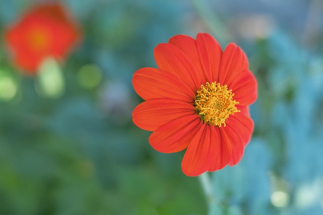 早在效力上 早在效力上