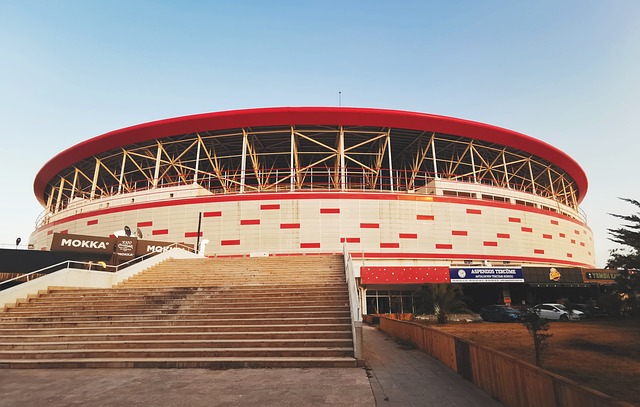 拥趸的支持 拥趸的支持