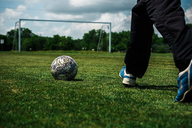 可能会制造 可能会制造